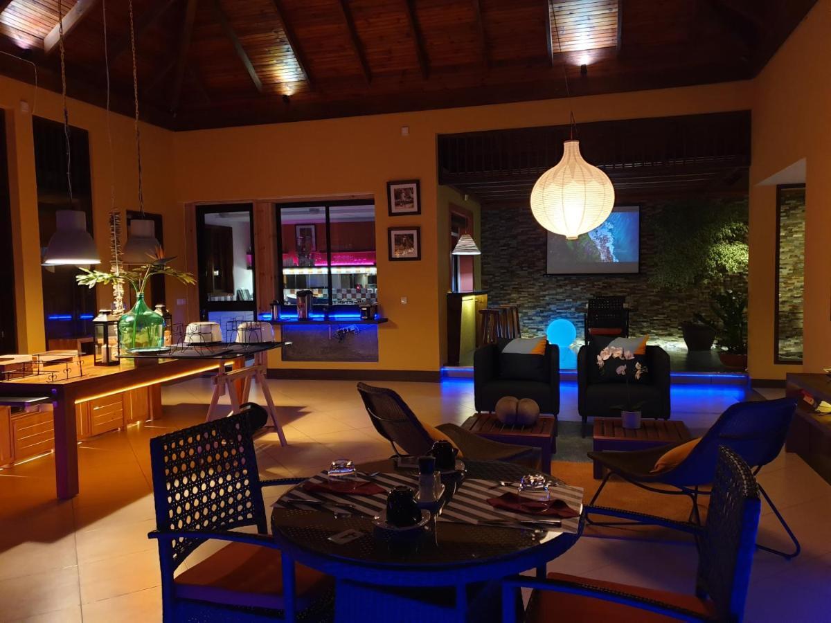 Kiki Seychelles Anse a La Mouche